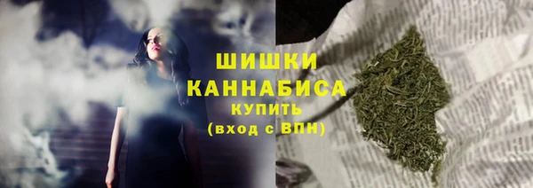 дживик Белокуриха