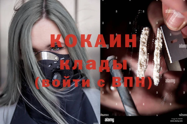 дживик Белокуриха